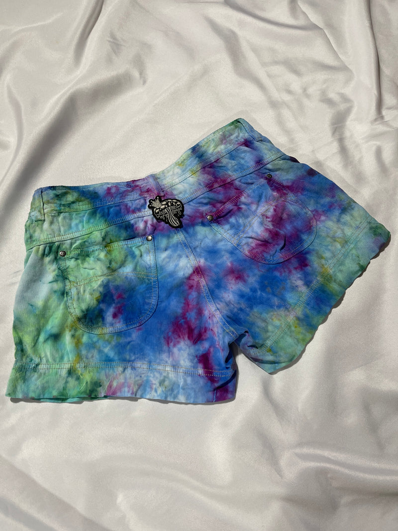 Aurora Borealis Shorts II - Size 10